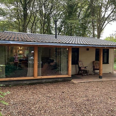 Huisje In Het Bos Zuidlaren Exteriör bild