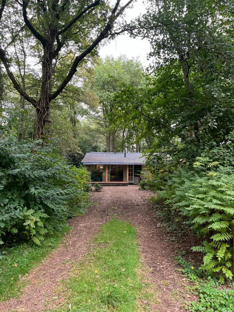 Huisje In Het Bos Zuidlaren Exteriör bild