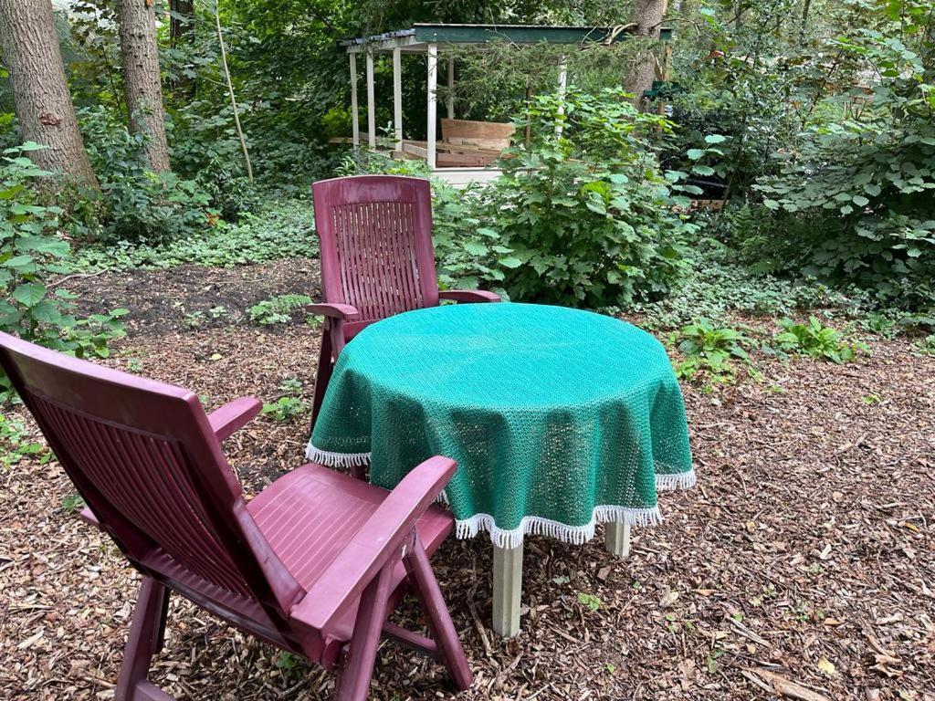 Huisje In Het Bos Zuidlaren Exteriör bild